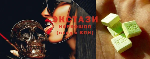 сатива Туринск