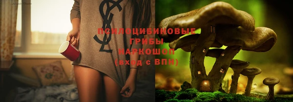 тгк Усмань