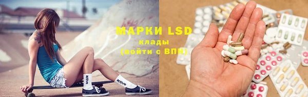 шишки Тутаев