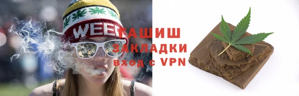 шишки Тутаев