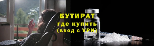 сатива Туринск