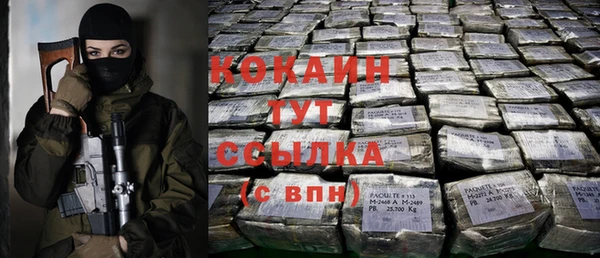ешки Тында