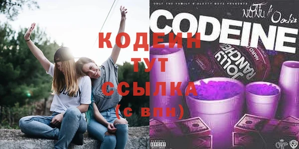 сатива Туринск
