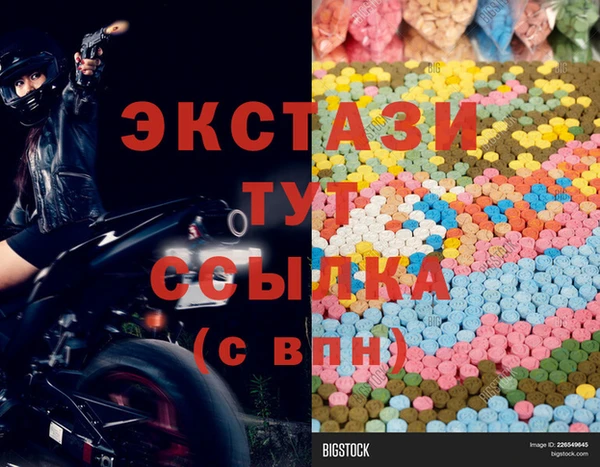 сатива Туринск