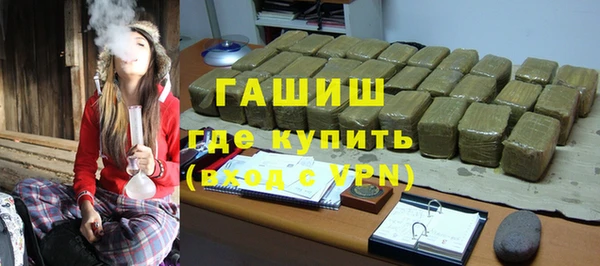 сатива Туринск