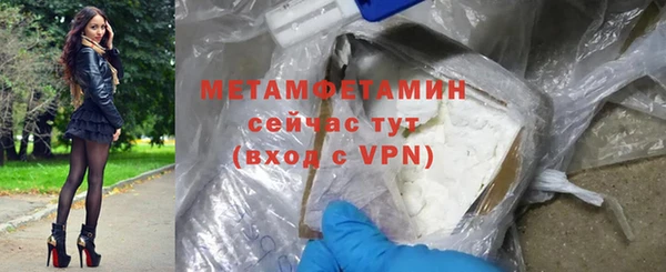сатива Туринск
