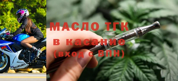 сатива Туринск