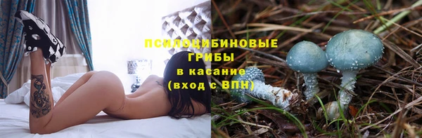 ешки Тында