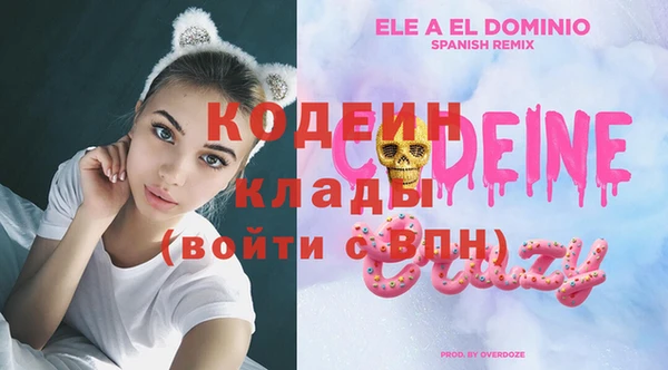шишки Тутаев