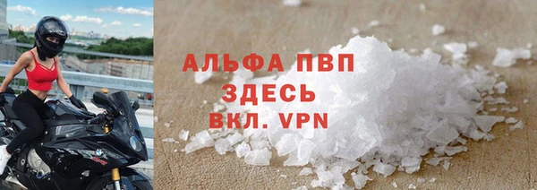 сатива Туринск
