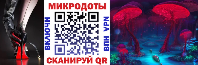 blacksprut tor  Отрадная  Галлюциногенные грибы Cubensis 